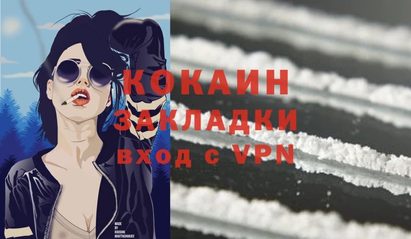 стаф Волоколамск