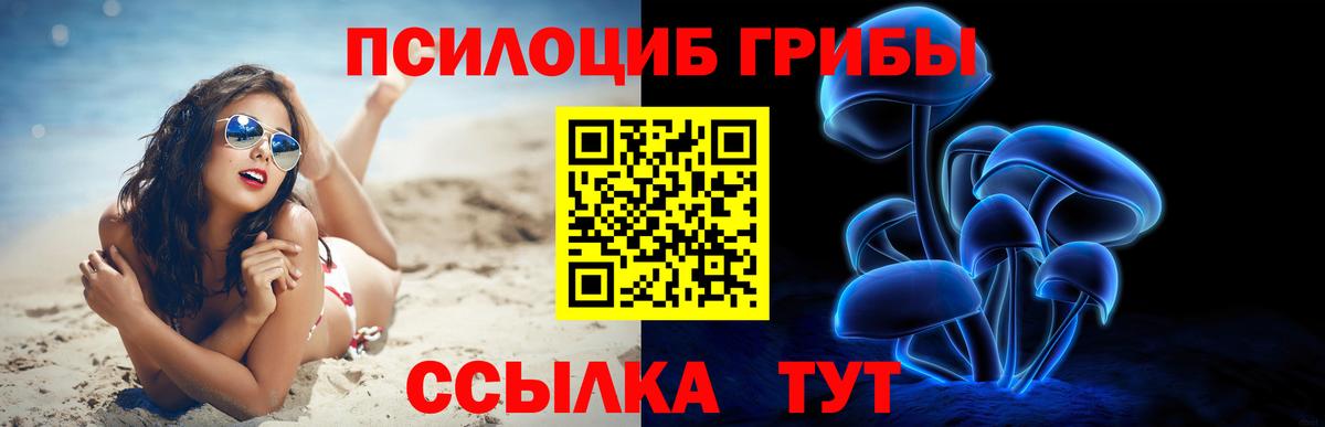 Галлюциногенные грибы Cubensis  Вход с VPN  Майкоп 